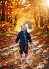 KOMBINÉZA  SOFTSHELLOVÁ TM.MODRÁ s fleecem