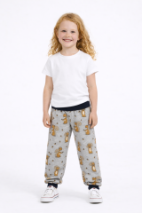 Spodnie dresowe WIEWIÓRKI